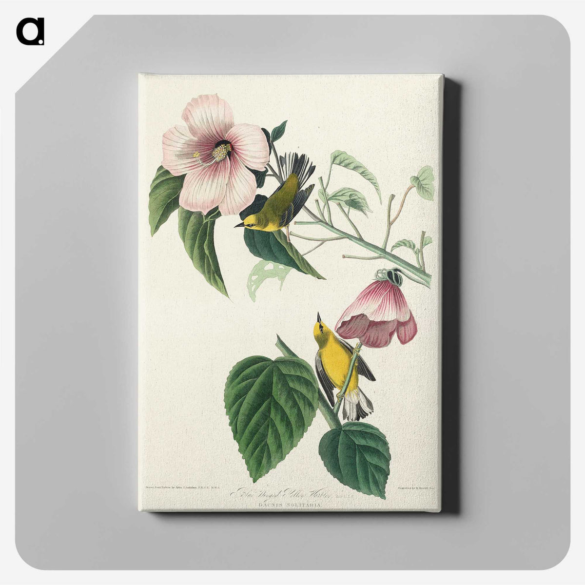 1-87_John-James-Audubon_canvas