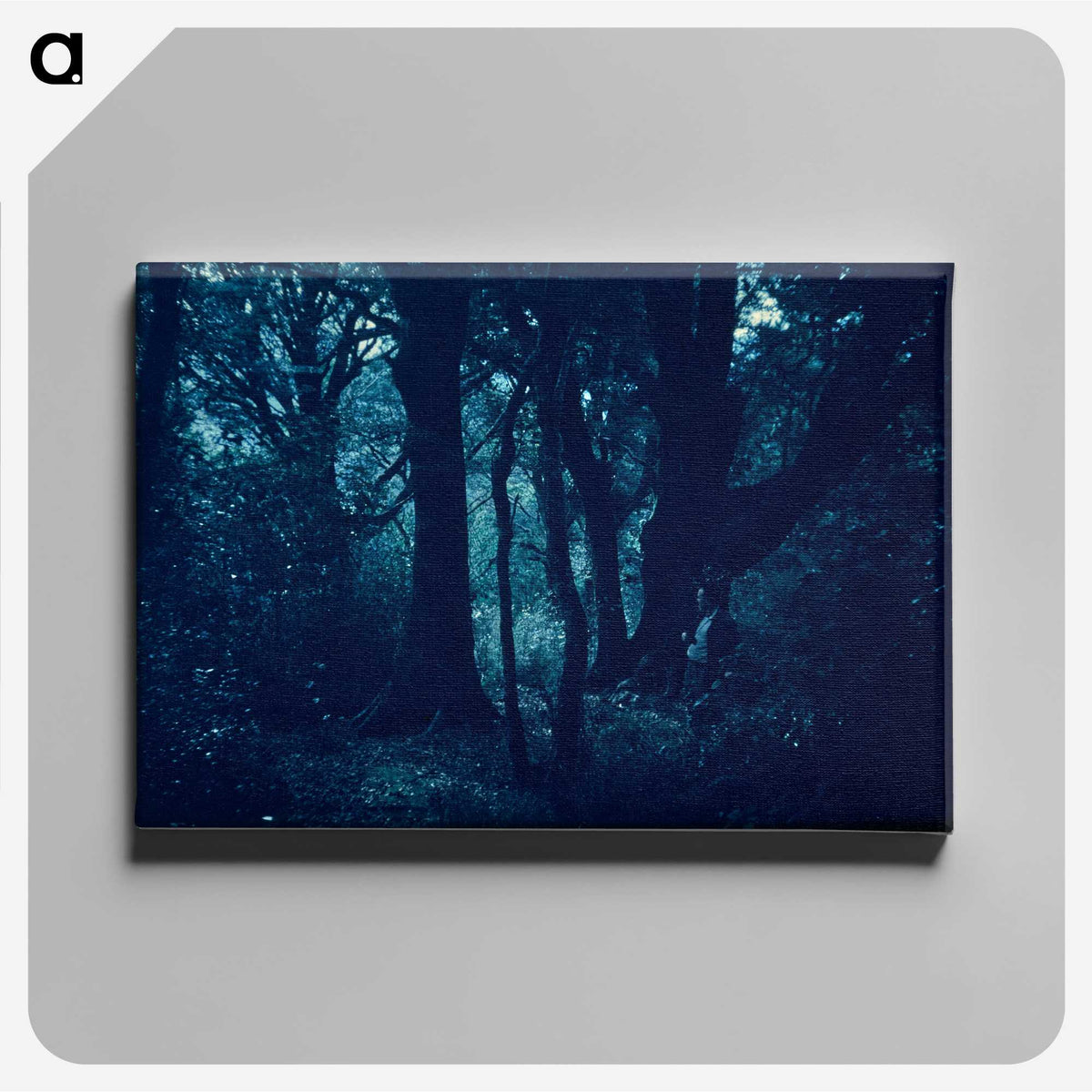 1-87_Leslie-Adkin_canvas