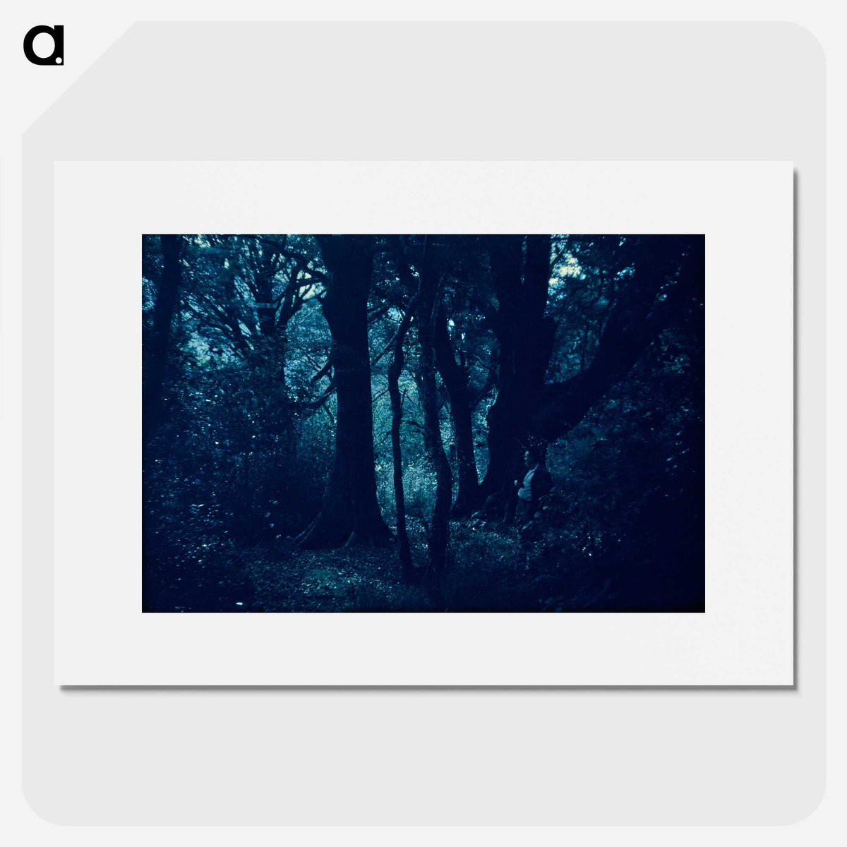 1-87_Leslie-Adkin_picture