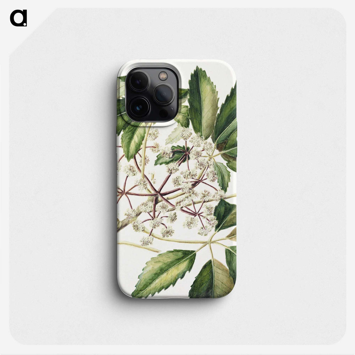 1-87_Native-Flowering-Plants-of-New-Zealand_phone