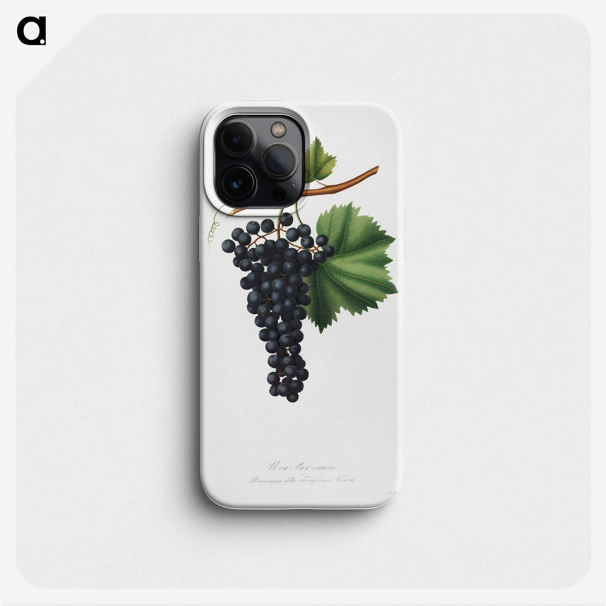 1-87_Pomona-Italiana_phone