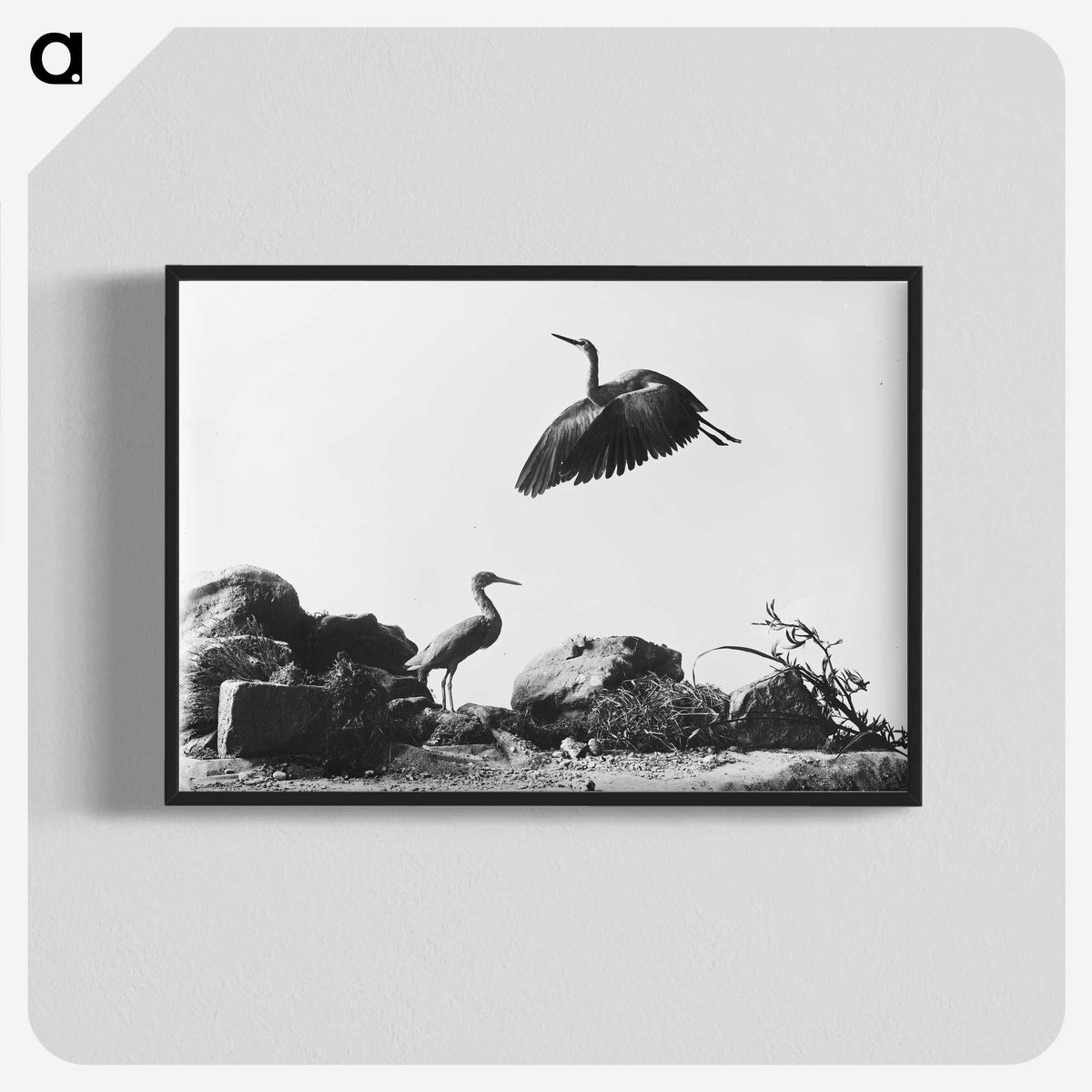 1-87_The-Burton-Brothers_blk-crop