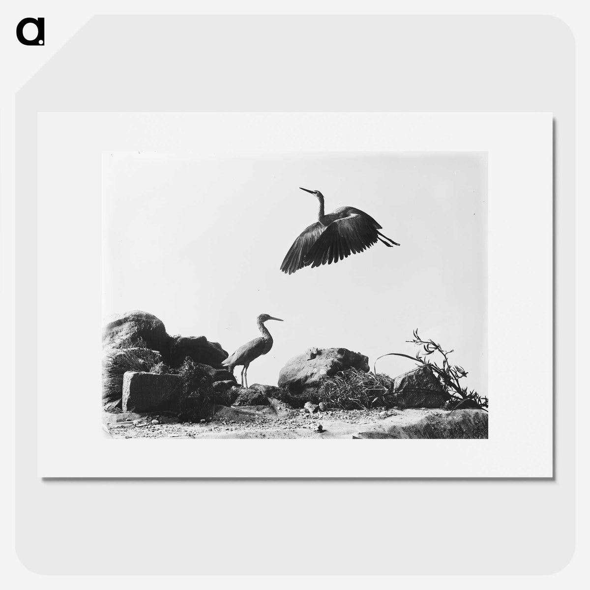 1-87_The-Burton-Brothers_picture