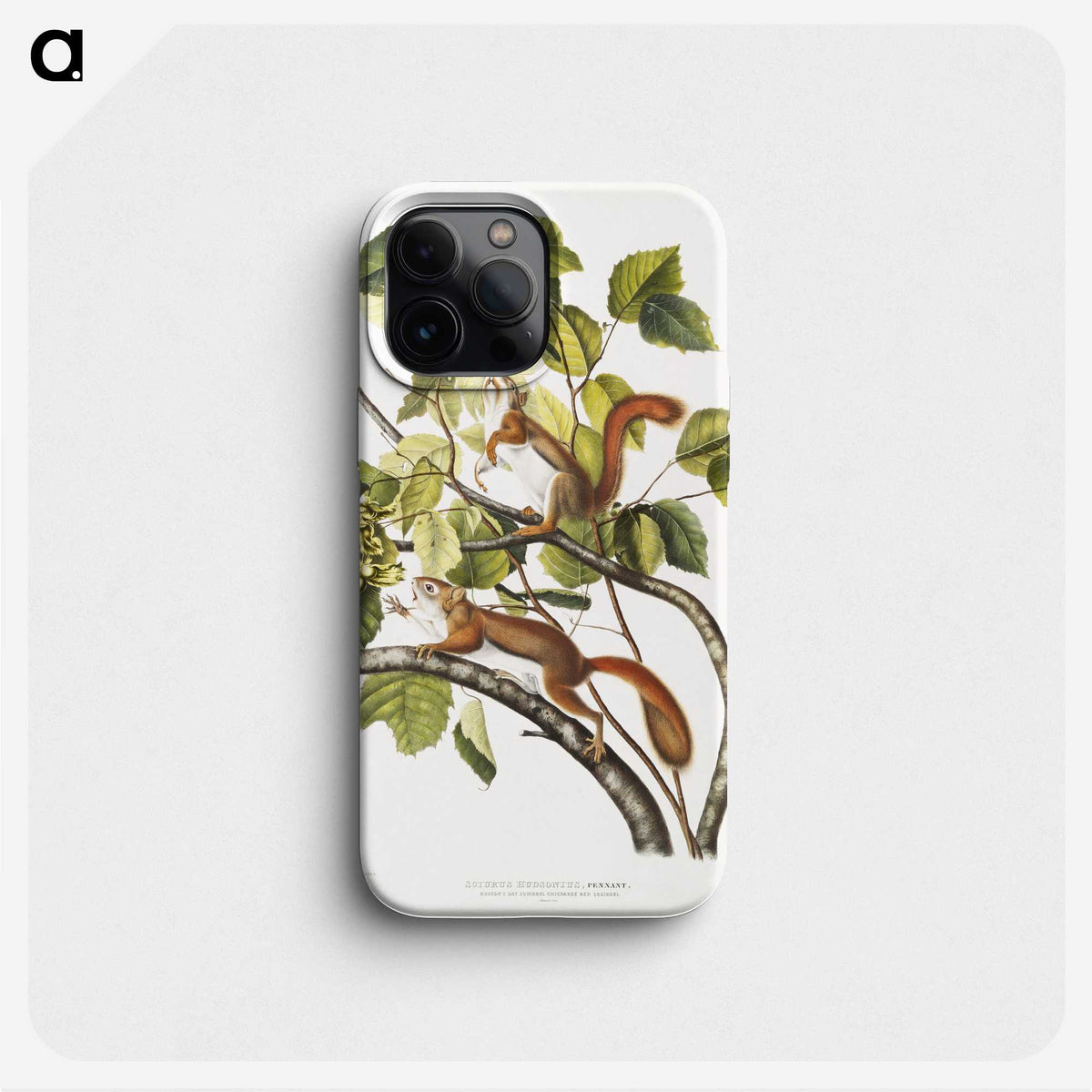 1-87_The-Viviparous-Quadrupeds_phone