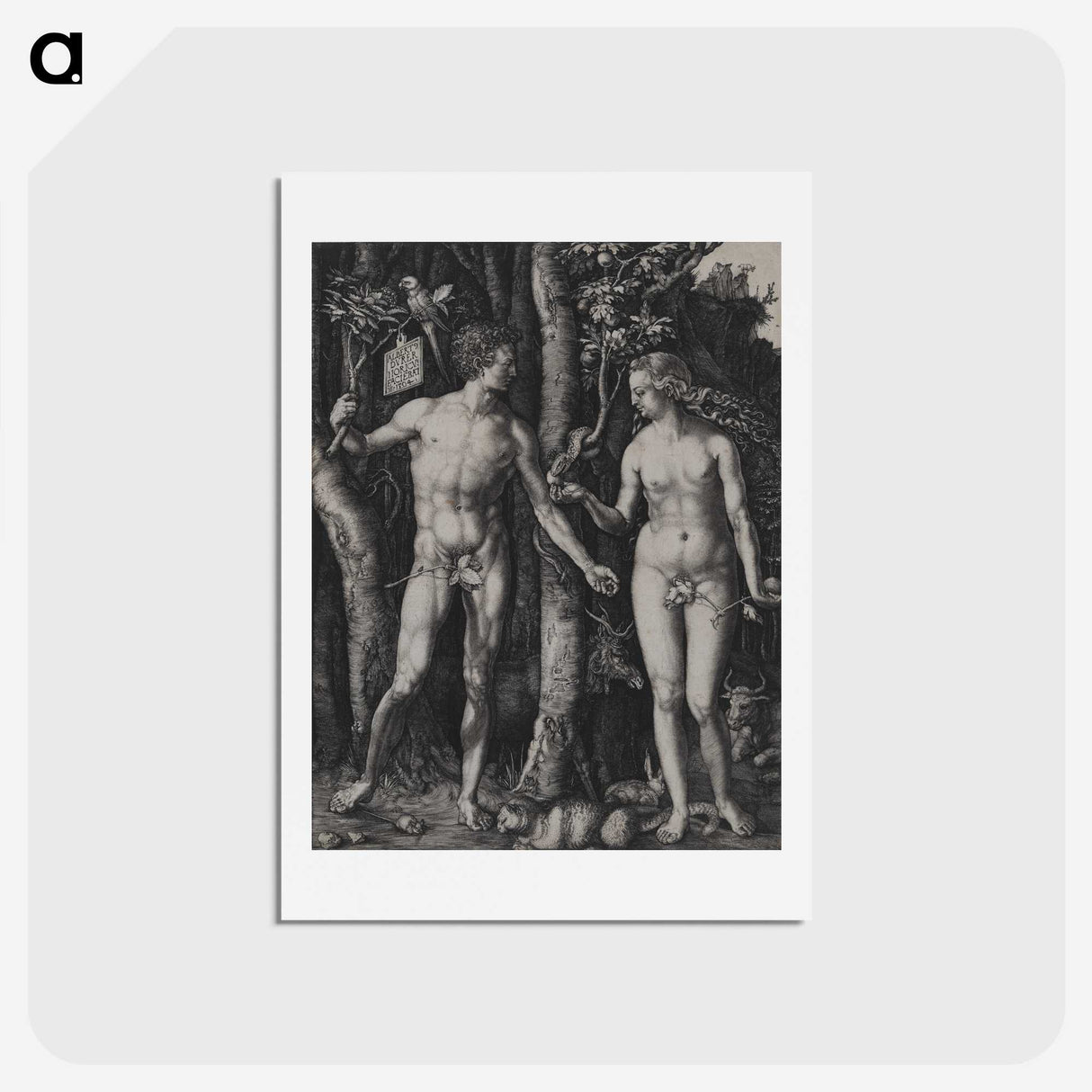 1-88_Albrecht-Durer_hagaki