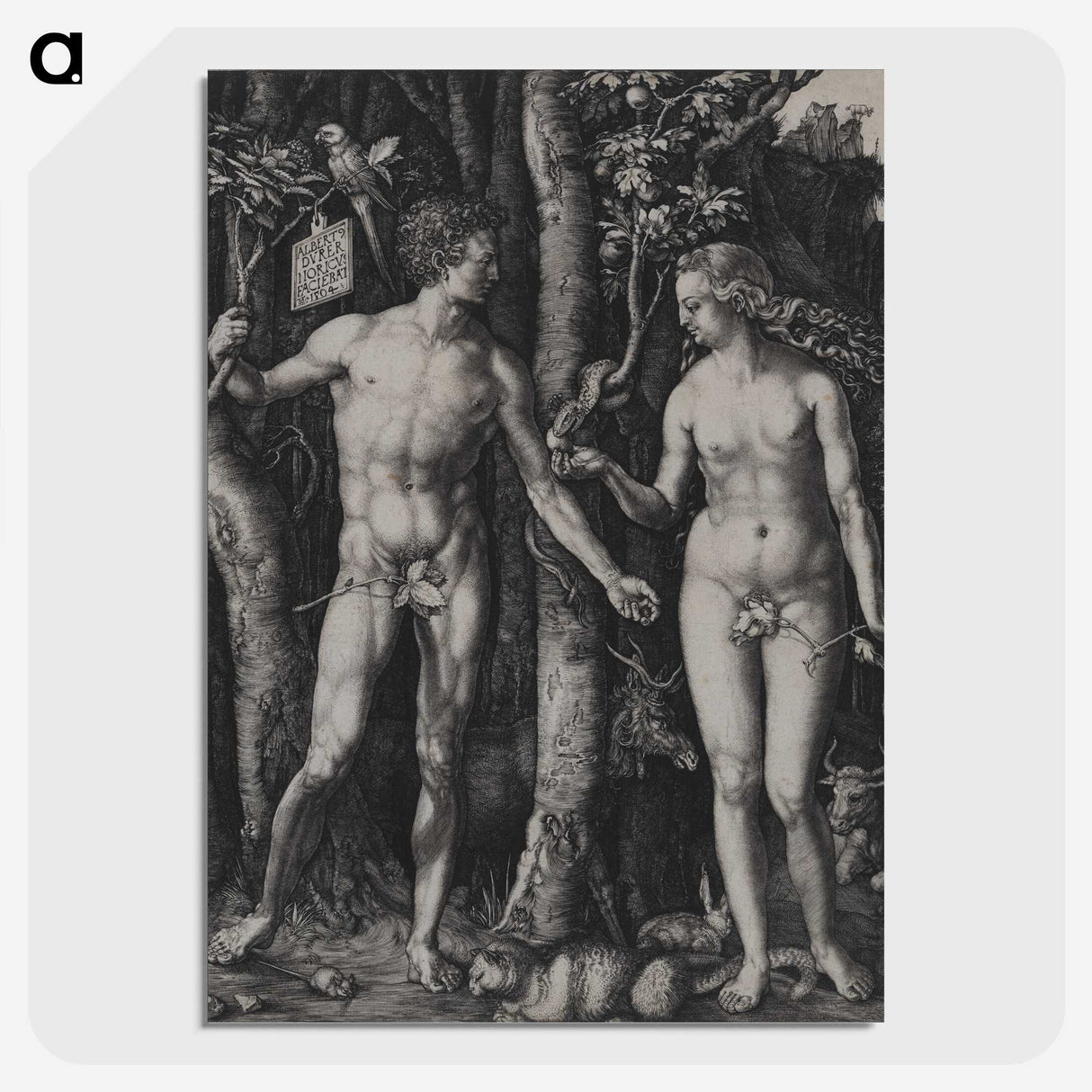 1-88_Albrecht-Durer_picture-crop