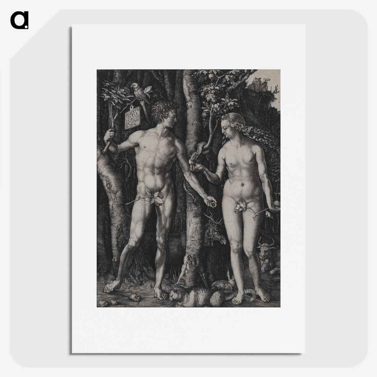 1-88_Albrecht-Durer_picture