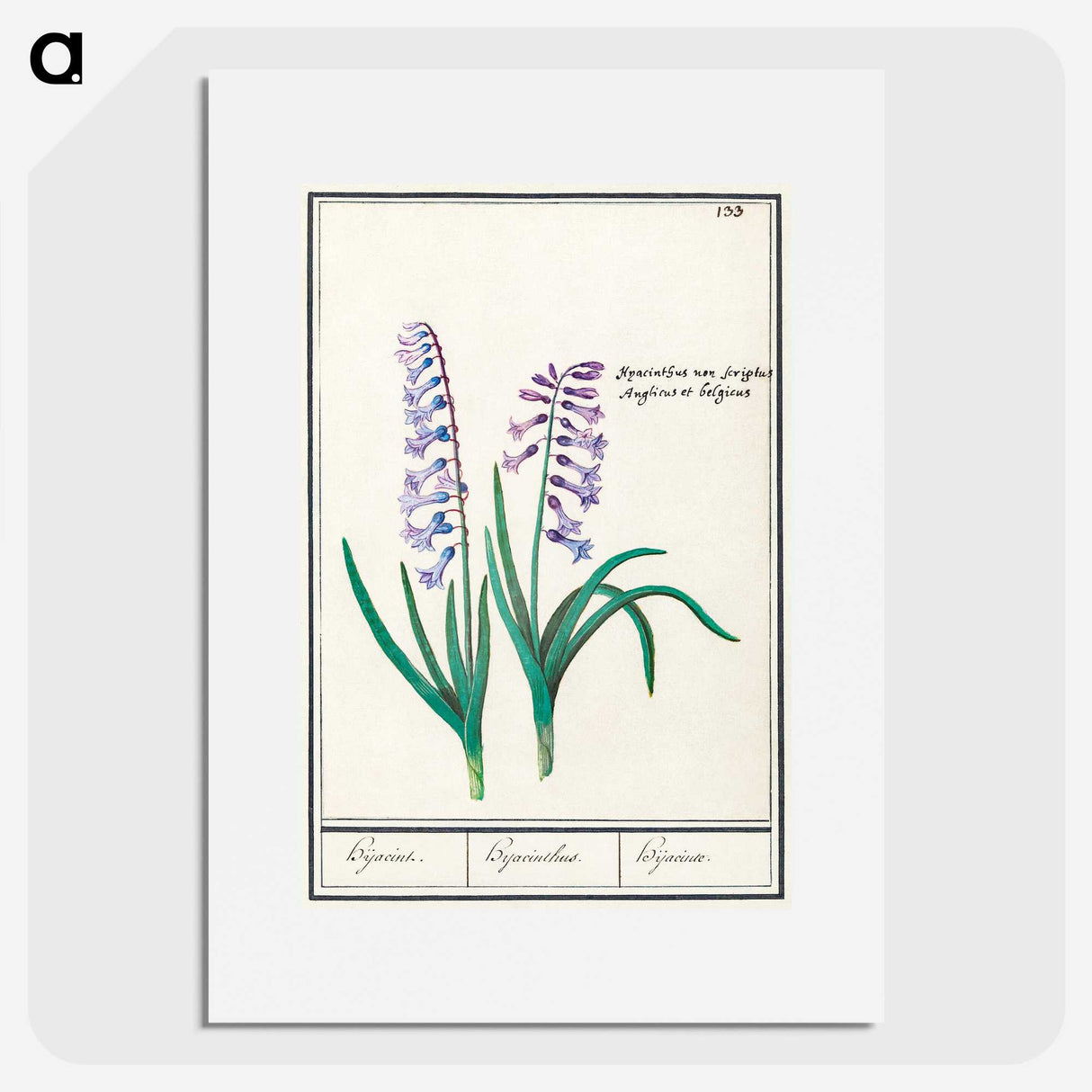1-88_Anselmus-Boetius-de-Boodt_picture