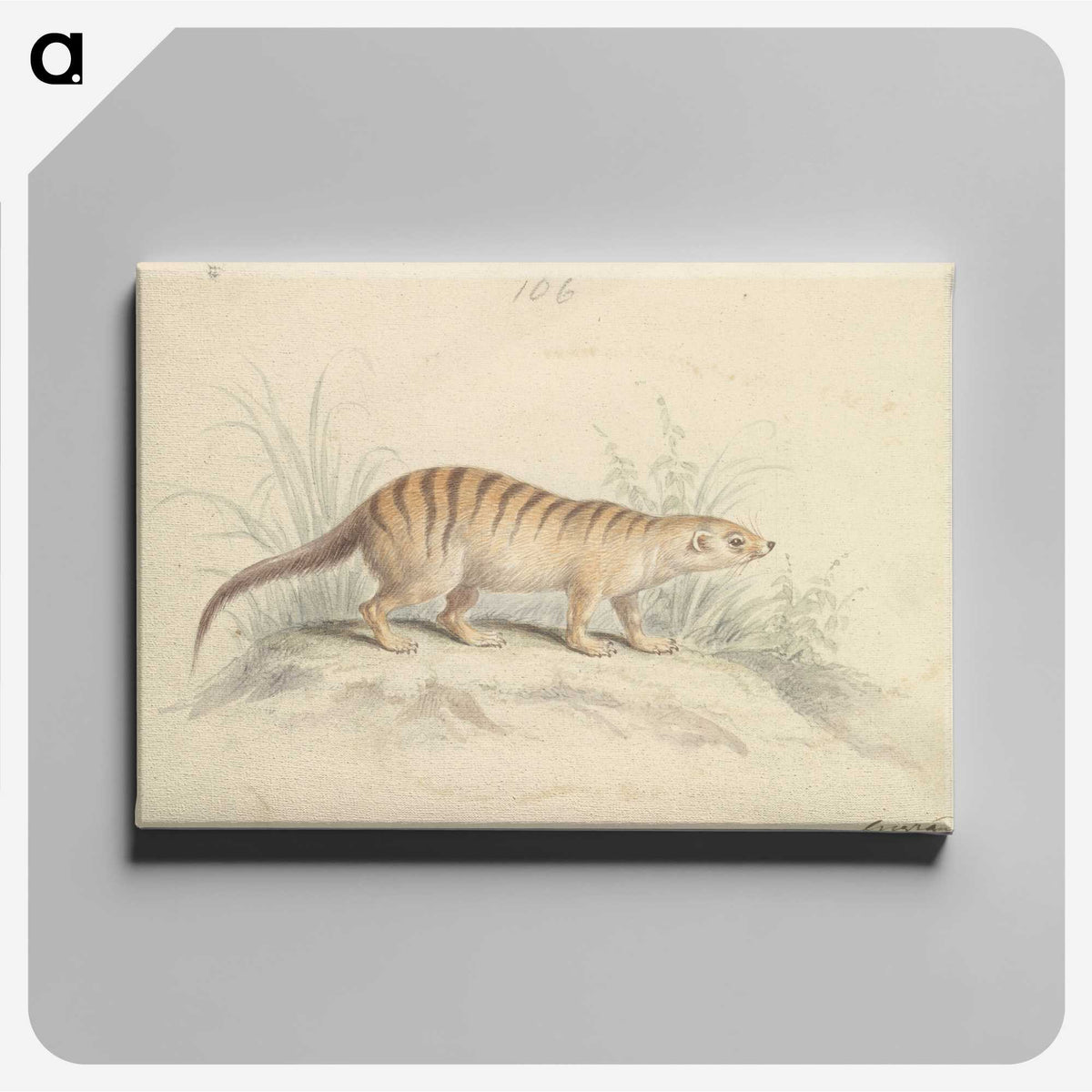 1-88_Charles-Hamilton-Smith_canvas