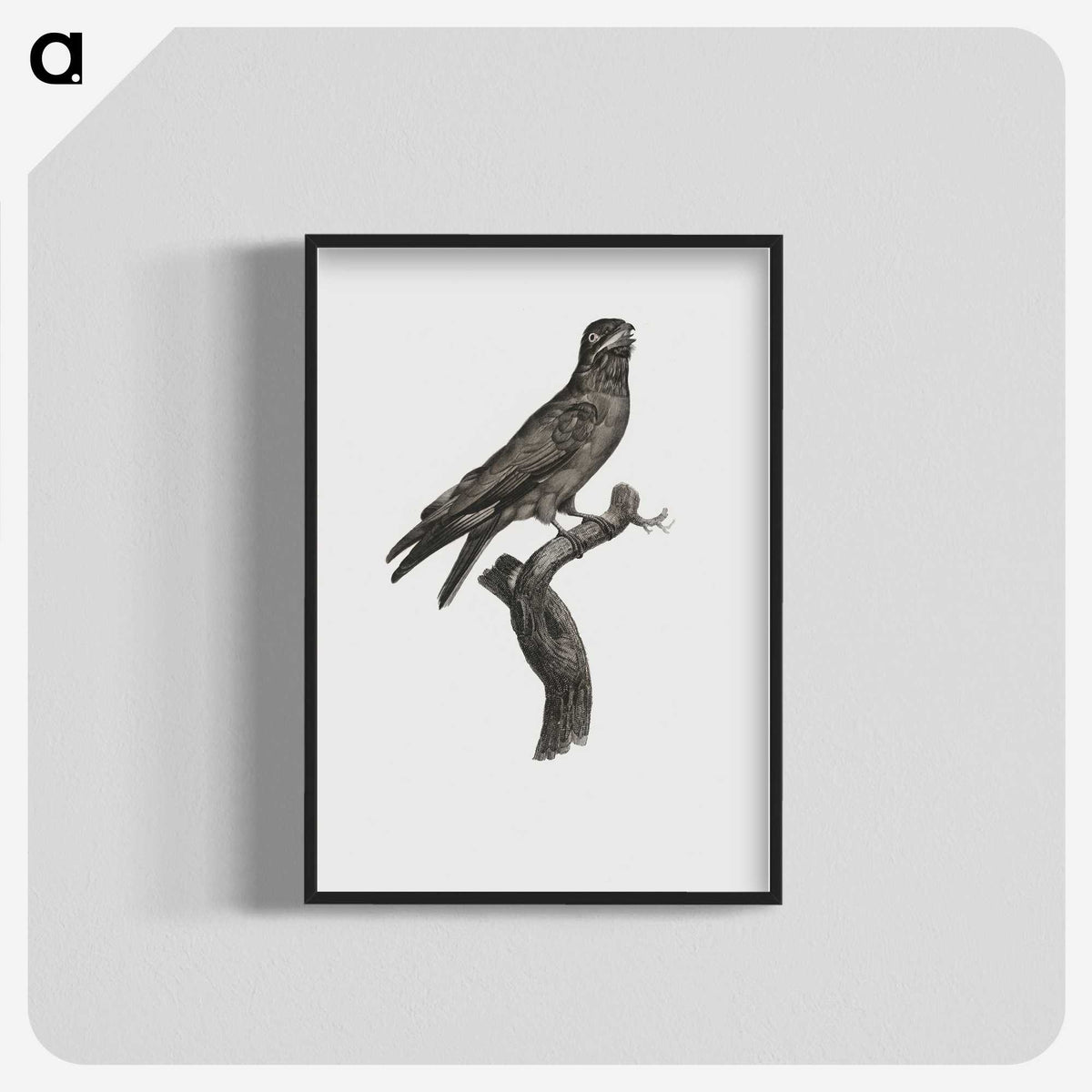 1-88_Des-Oiseaux-de-Paradis_blk-crop