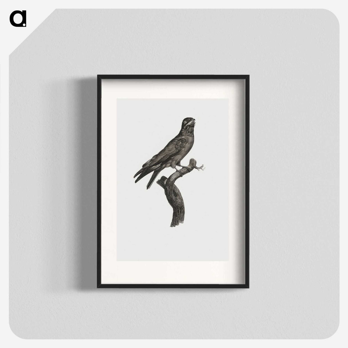 1-88_Des-Oiseaux-de-Paradis_blk