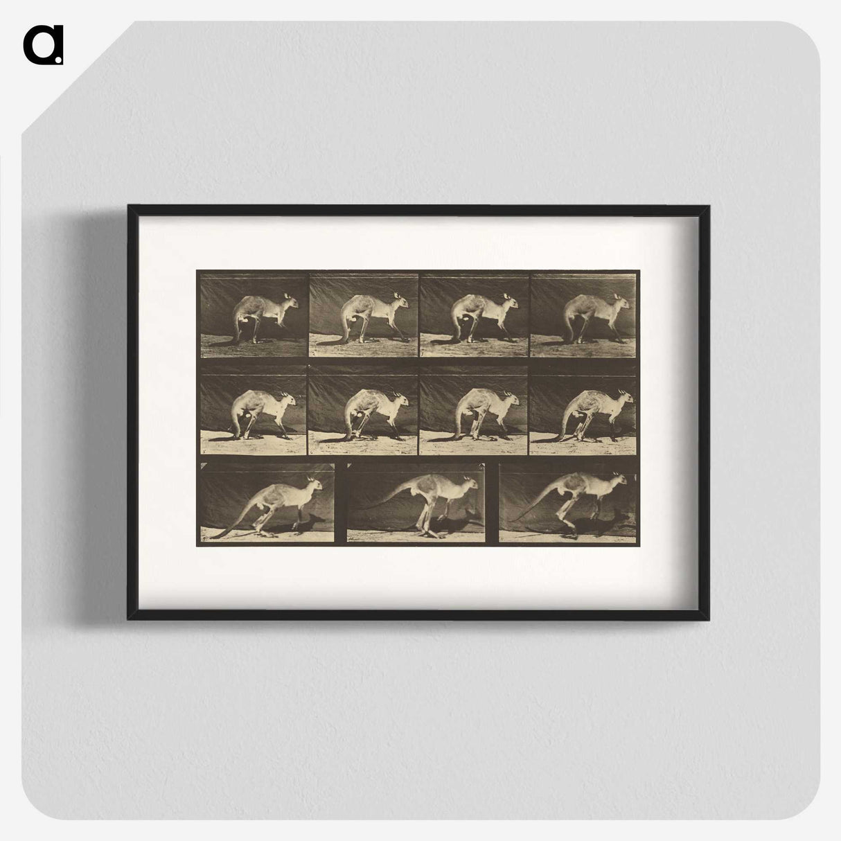 1-88_Eadweard-Muybridge_blk
