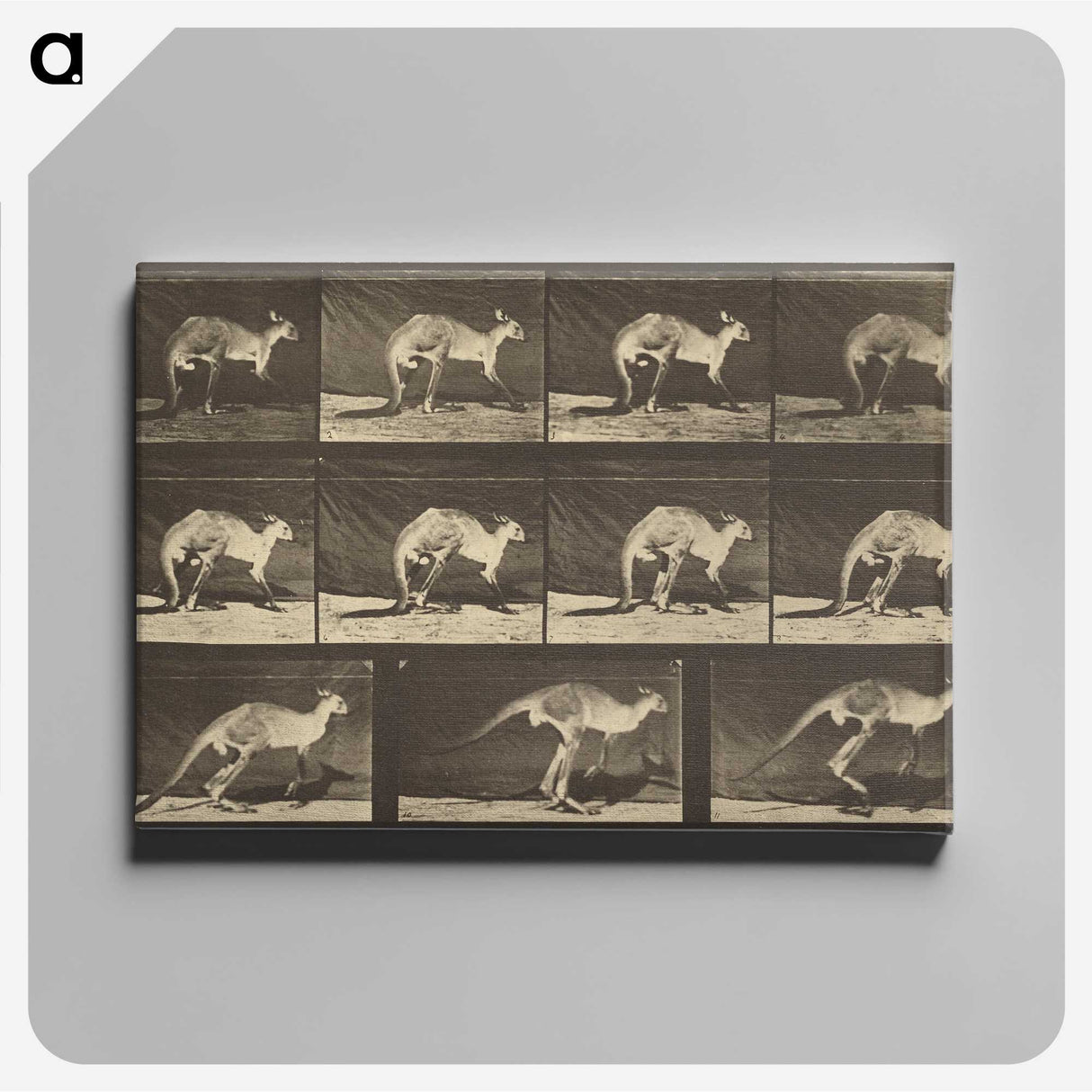 1-88_Eadweard-Muybridge_canvas