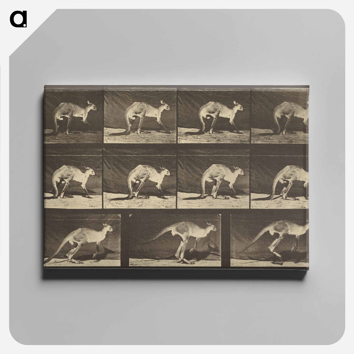 アートパネル-Animal Locomotion
- エドワード マイブリッジ Canvas.