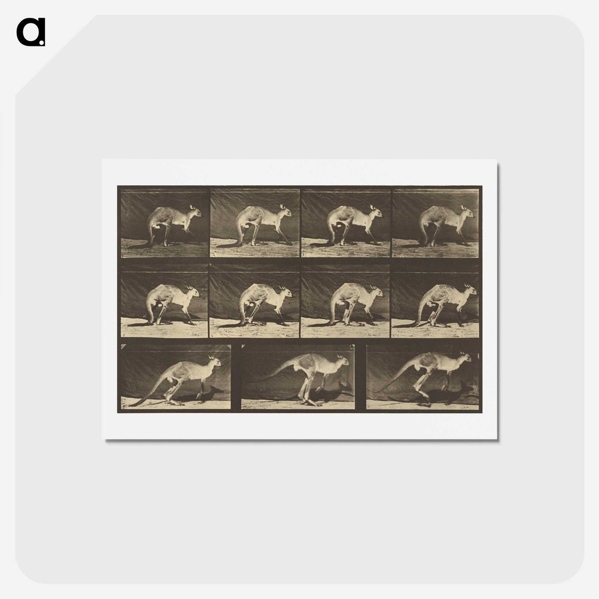 1-88_Eadweard-Muybridge_hagaki