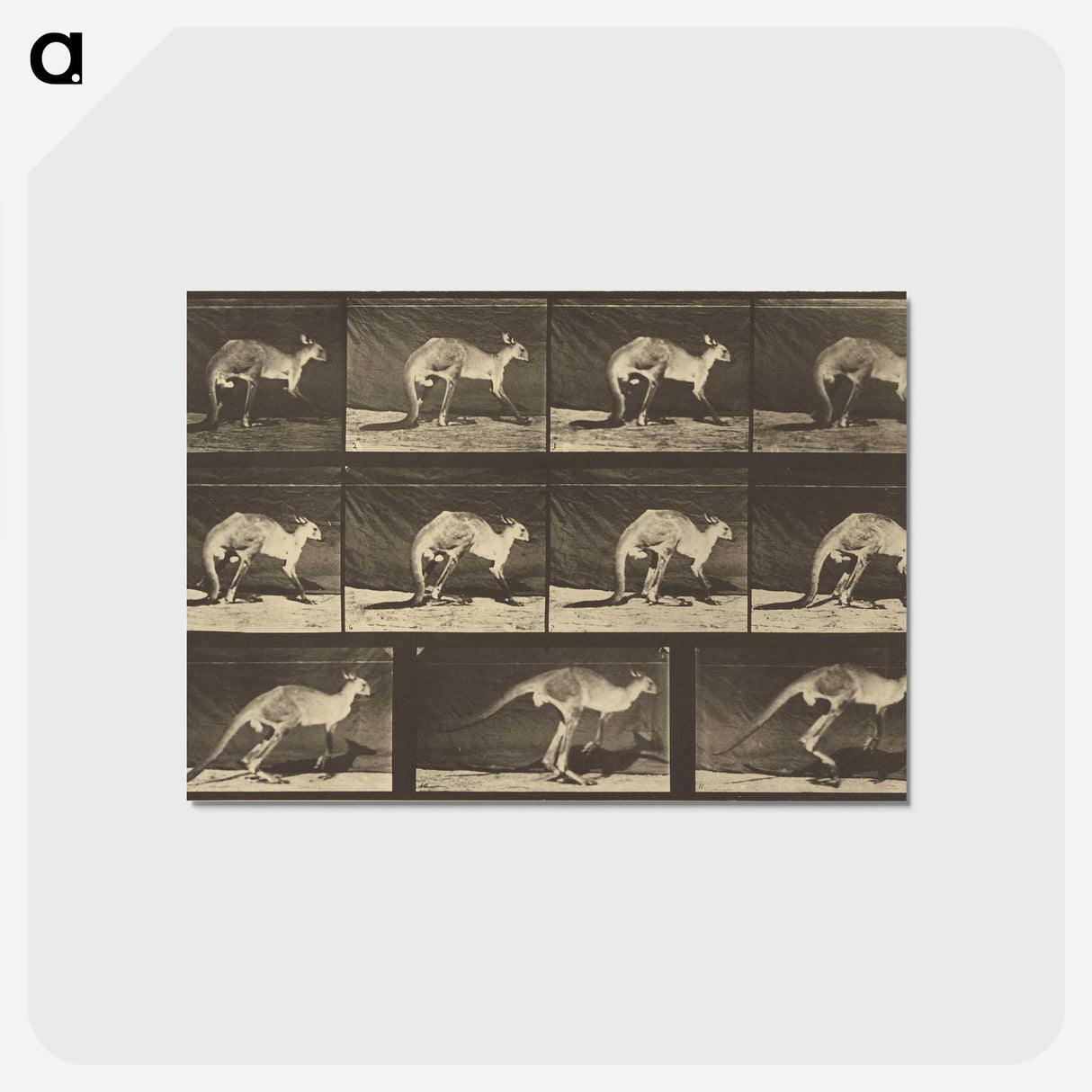 1-88_Eadweard-Muybridge_postcard