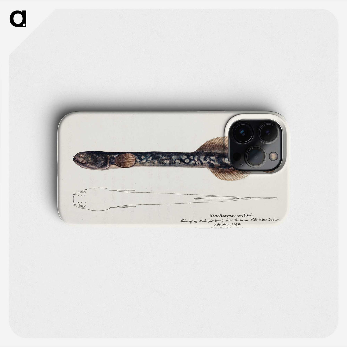 1-88_Frank-Edward-Clarke_phone