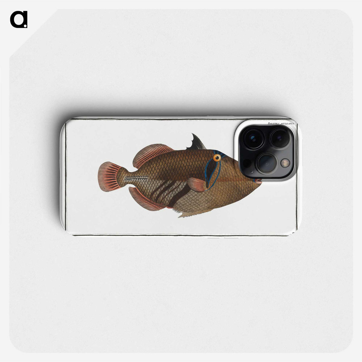 1-88_Ichtyologie-ou-Histoire-naturelle_phone