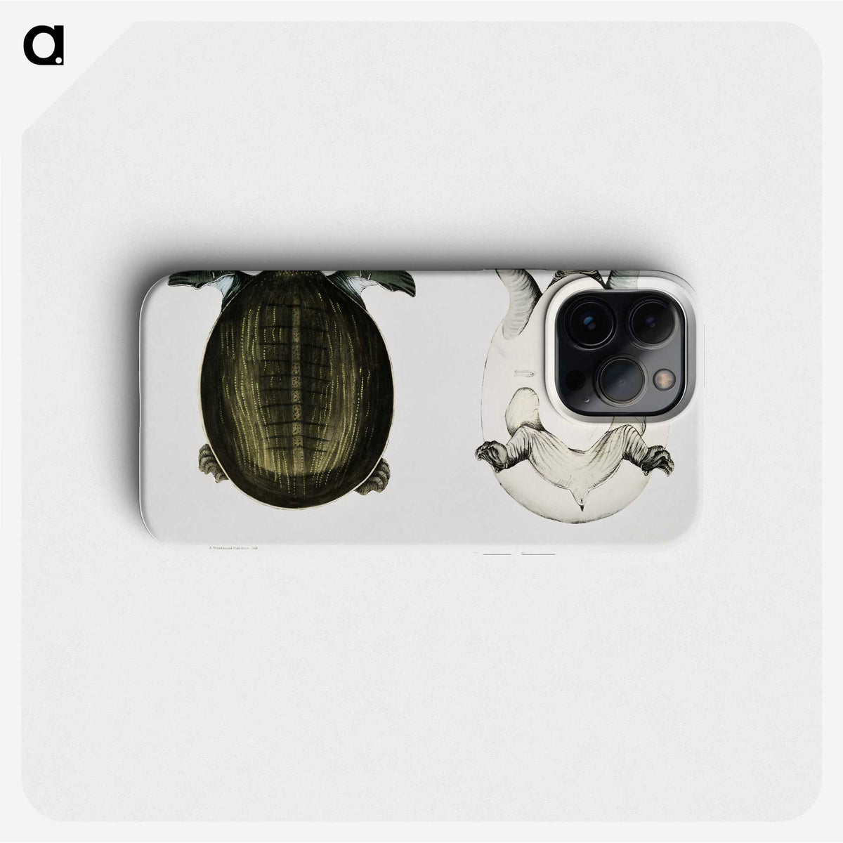 1-88_Indian-Zoology_phone