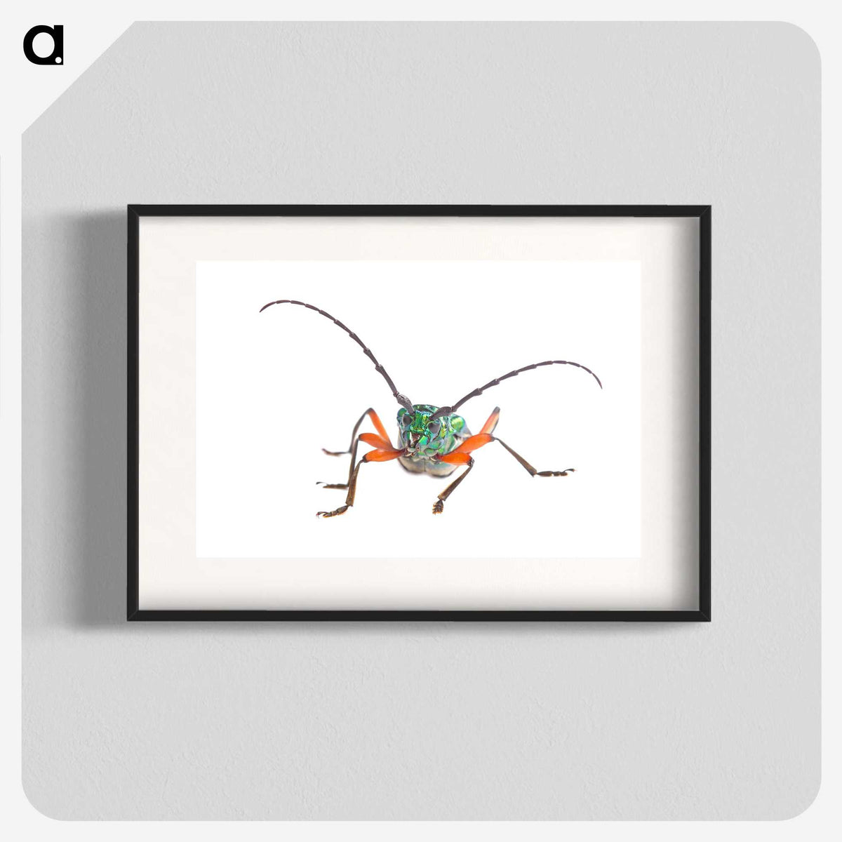 1-88_Insects-Unlocked-Project_blk