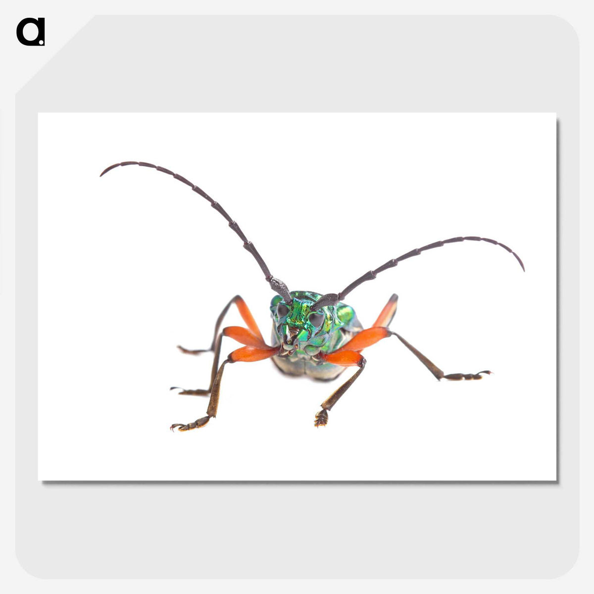 1-88_Insects-Unlocked-Project_picture-crop