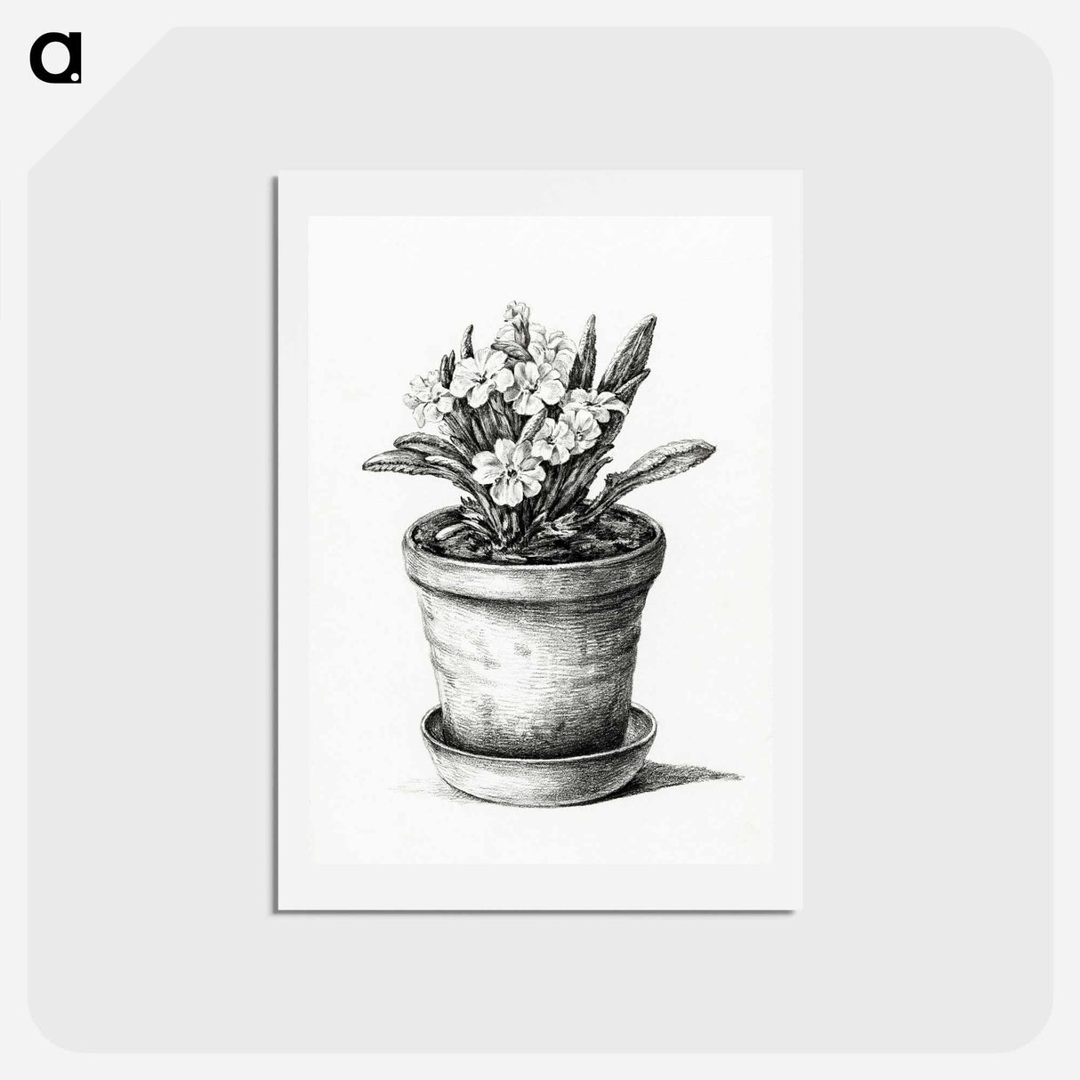 アートポストカード-Potted plant - ジャン ベルナール Postcard.