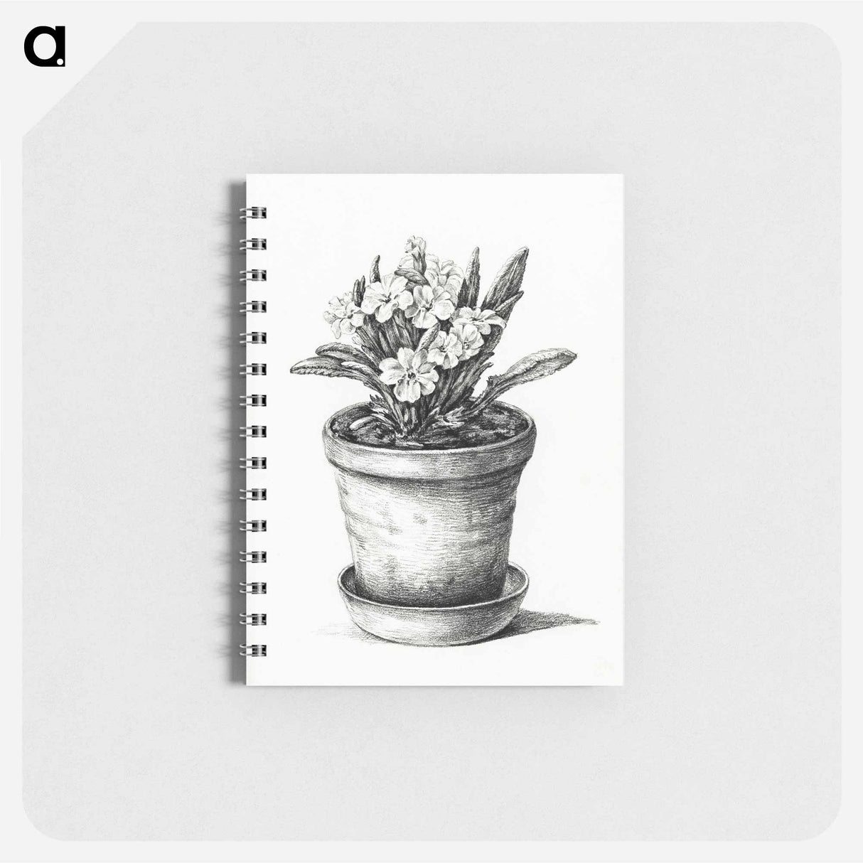 Potted plant - ジャン ベルナール Memo.