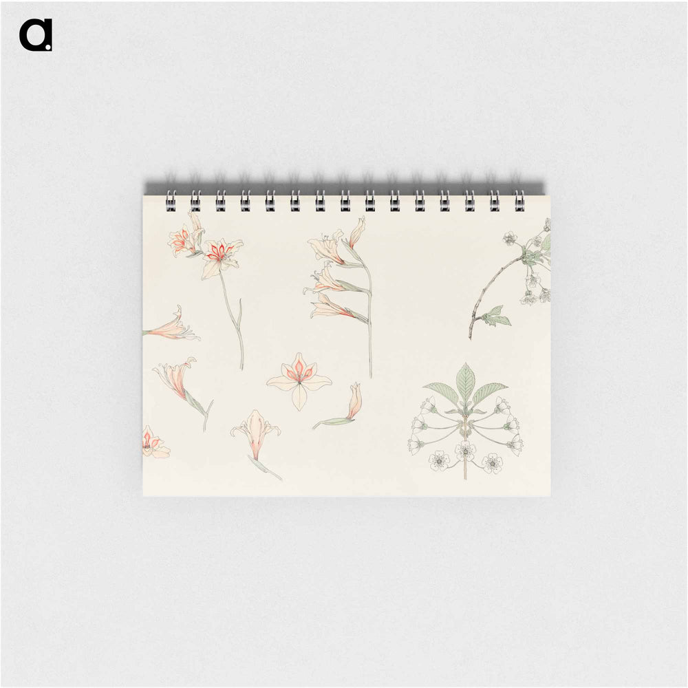 Study sheet with gladiolus and apple blossom - ユリー デ フラーハ Memo.
