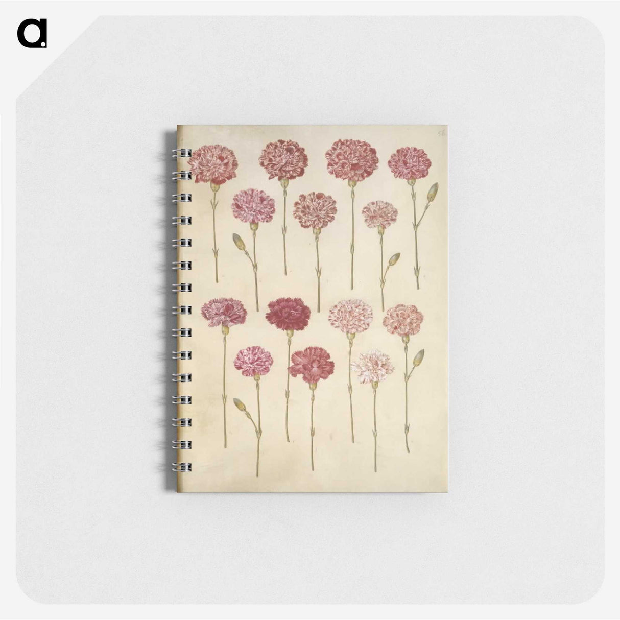 1-88_Maria-Sibylla-Merian_memo