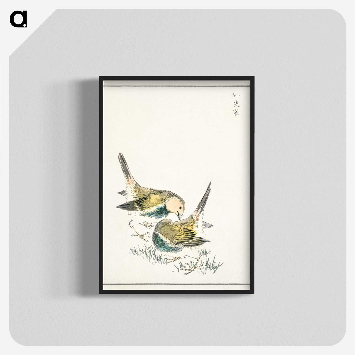 1-88_Pictorial-Monograph-of-Birds_blk-crop