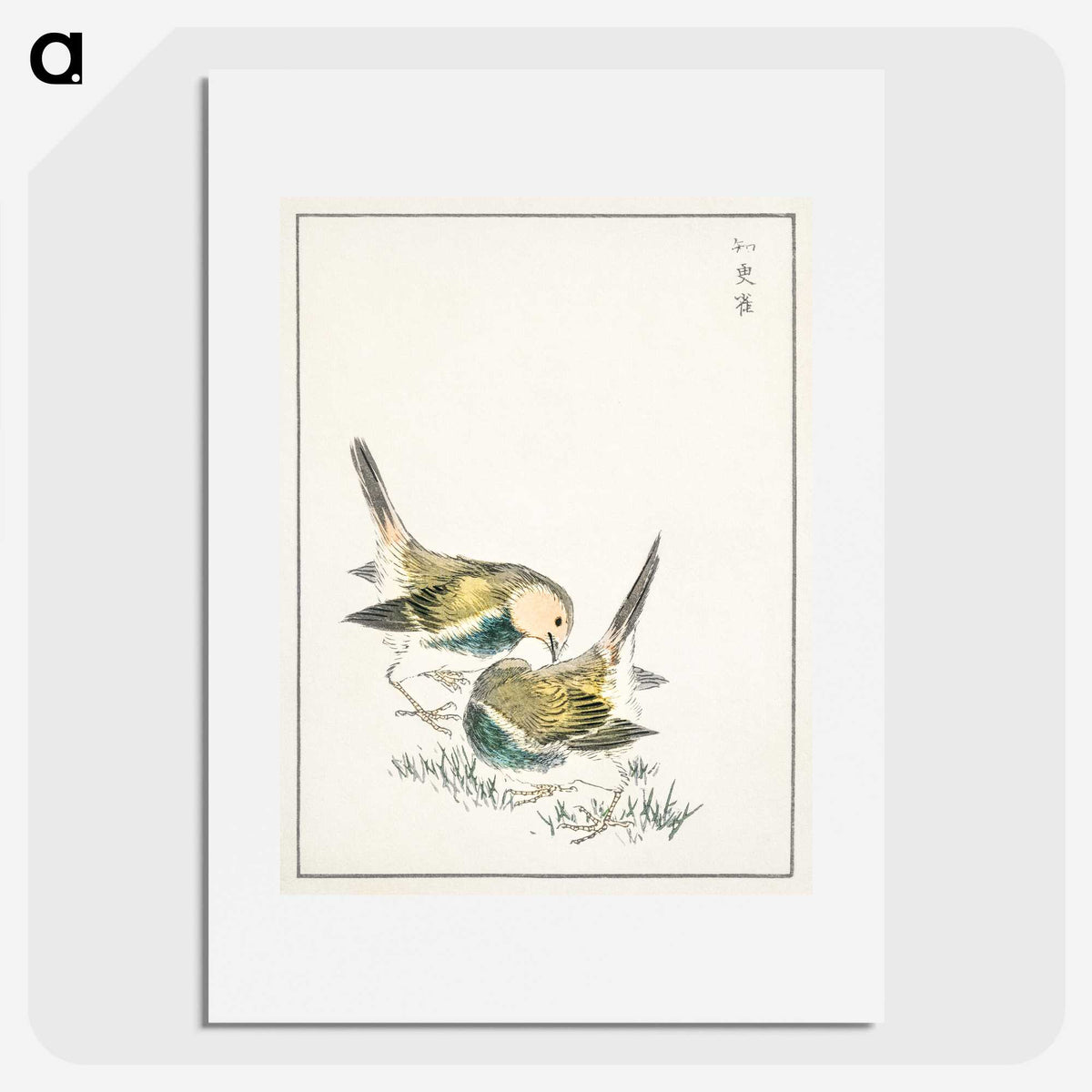 1-88_Pictorial-Monograph-of-Birds_picture