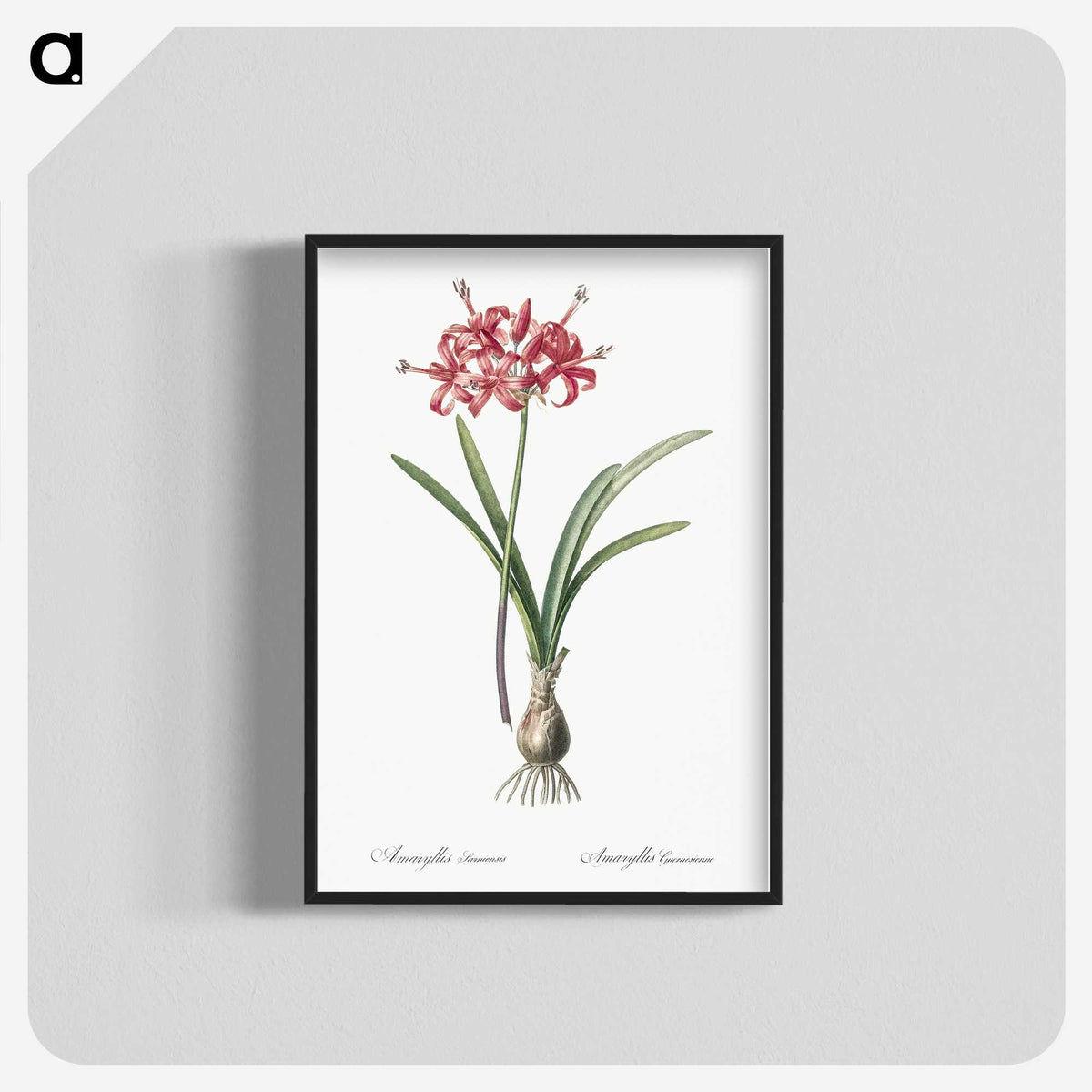 1-88_The-Lilies_blk-crop