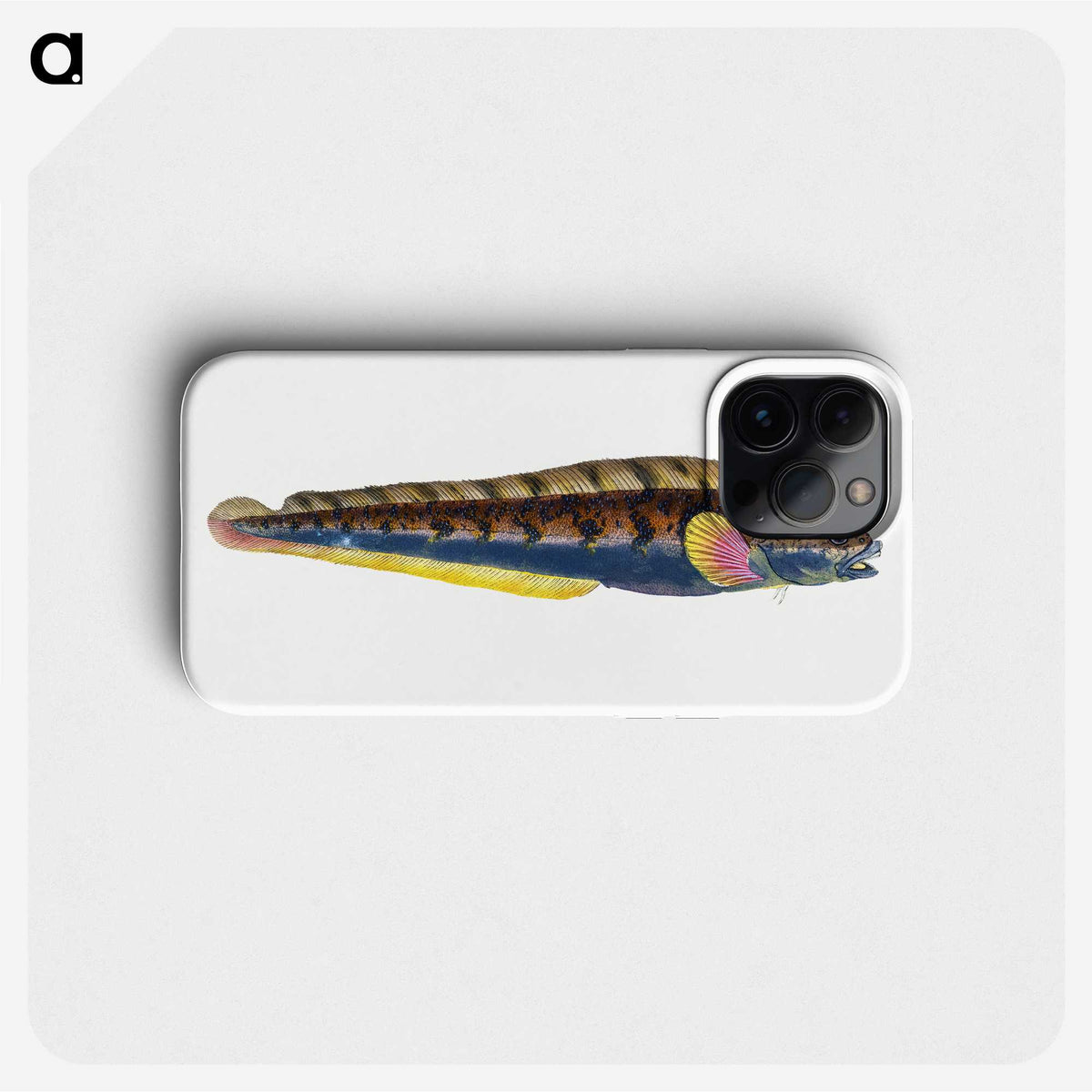 1-88_The-Natural-History-of-British-Fishes_phone