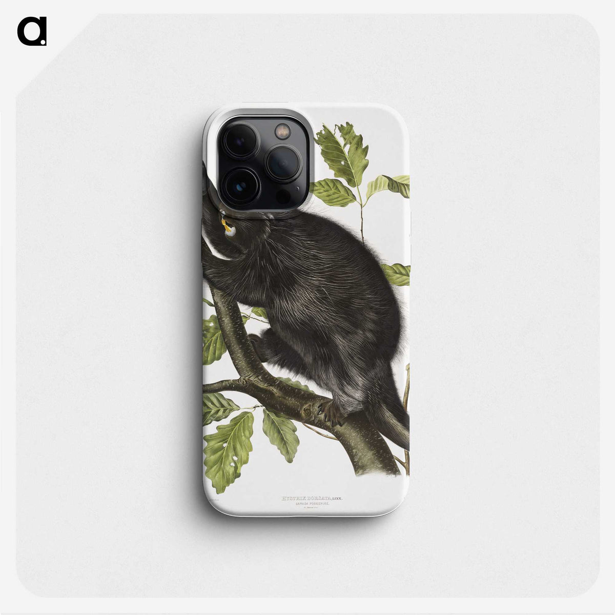 1-88_The-Viviparous-Quadrupeds_phone