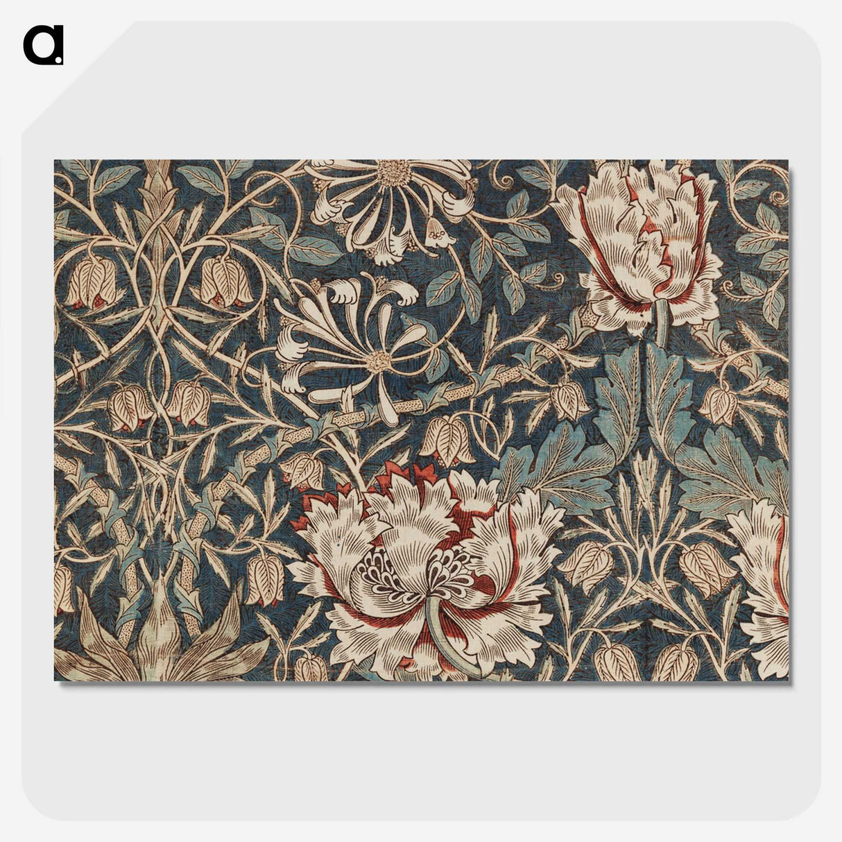 1-88_William-Morris_picture-crop