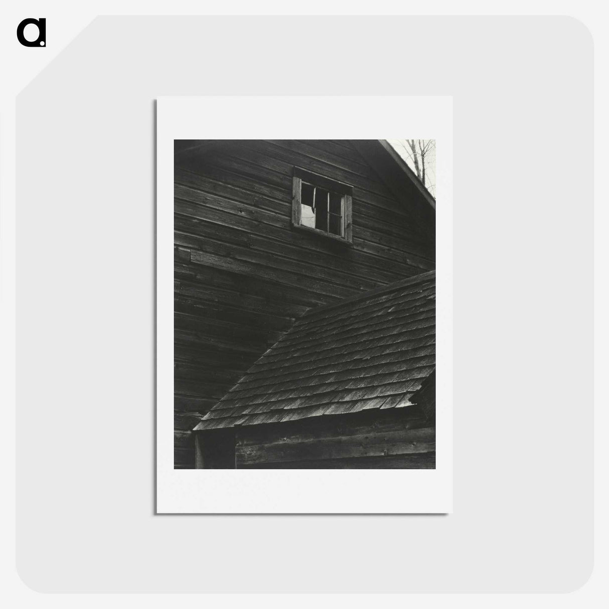 1-89_Alfred-Stieglitz_hagaki