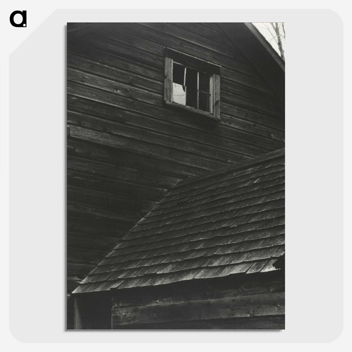 1-89_Alfred-Stieglitz_picture-crop
