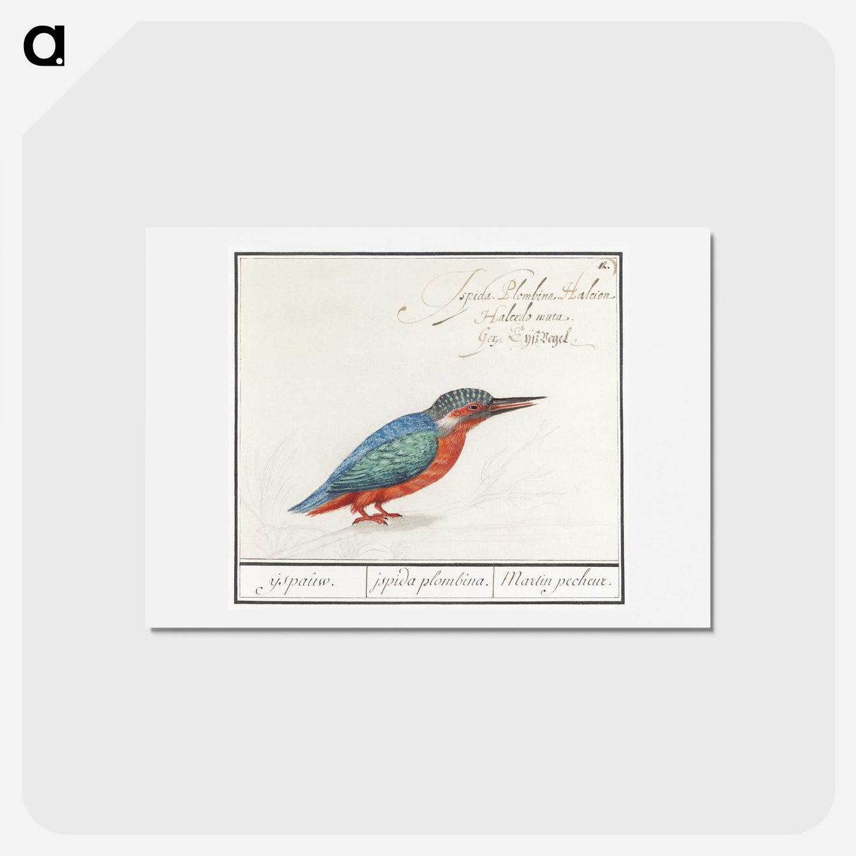 1-89_Anselmus-Boetius-de-Boodt_hagaki