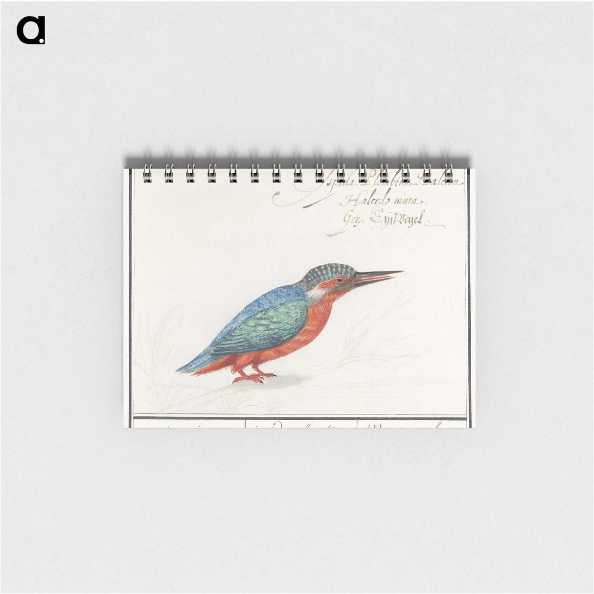 1-89_Anselmus-Boetius-de-Boodt_memo