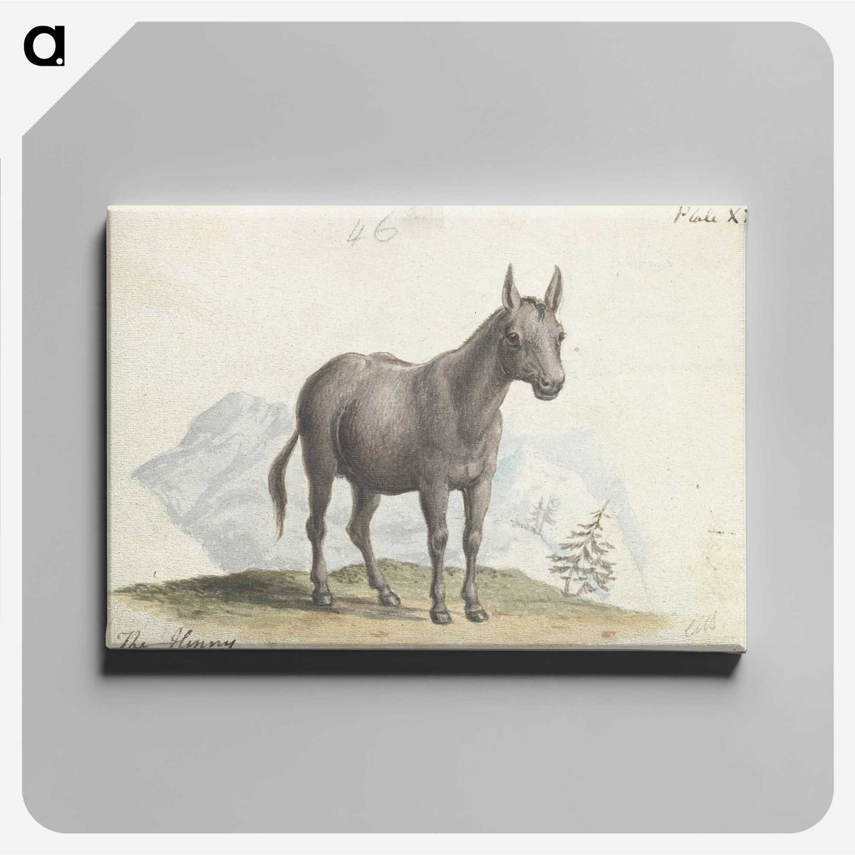 1-89_Charles-Hamilton-Smith_canvas