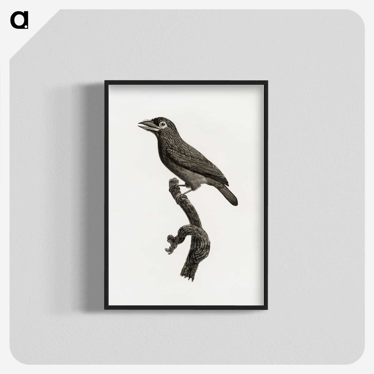 1-89_Des-Oiseaux-de-Paradis_blk-crop