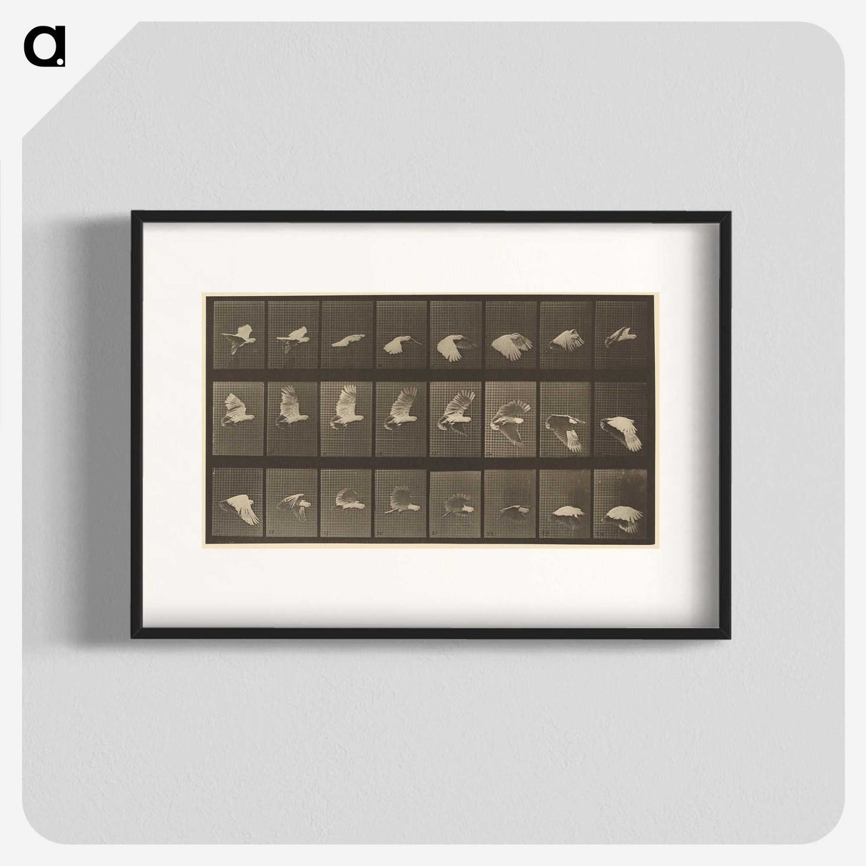 1-89_Eadweard-Muybridge_blk