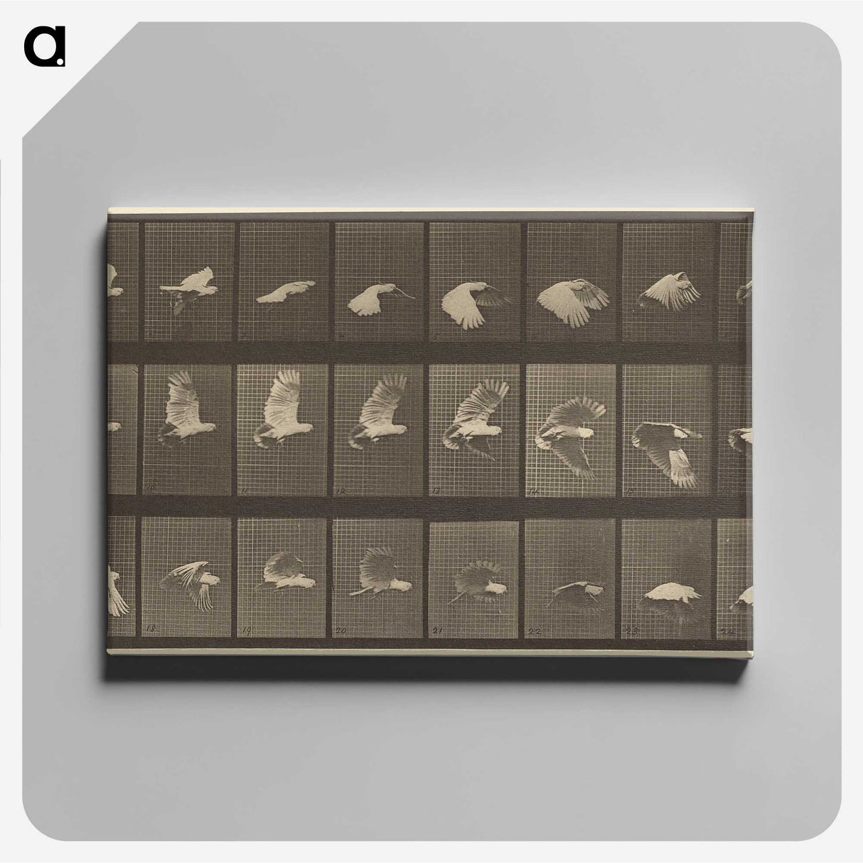 1-89_Eadweard-Muybridge_canvas