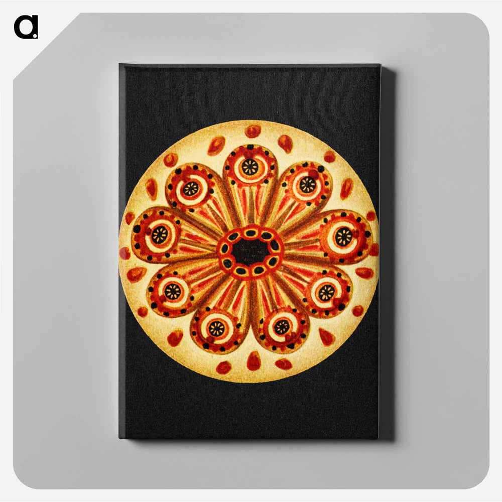 Colorful vintage tunicate marine life illustration - エルンスト ヘッケル Canvas.