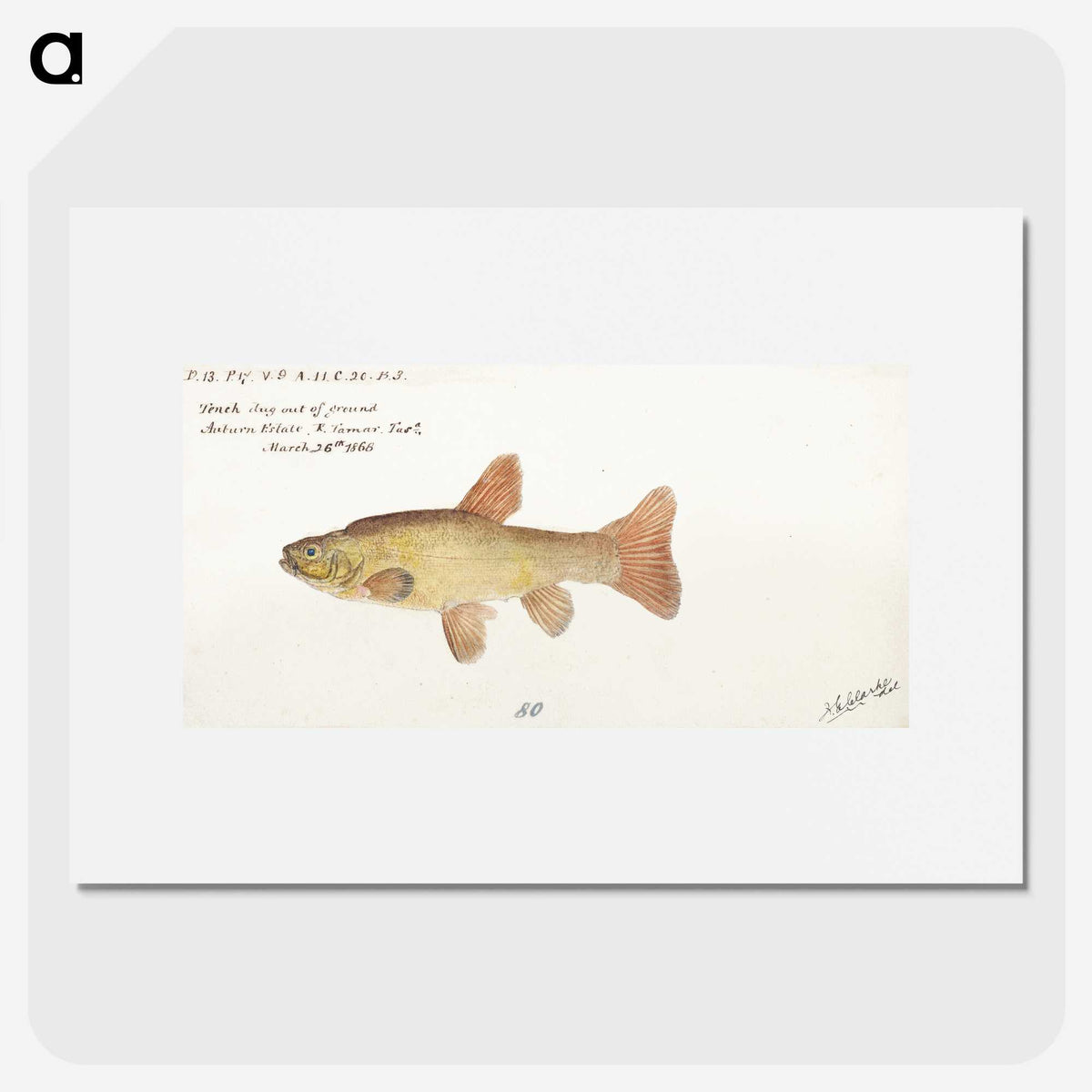 1-89_Frank-Edward-Clarke_picture