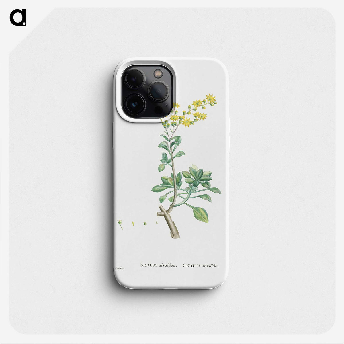 1-89_Histoire-des-Plantes-Grasses_phone