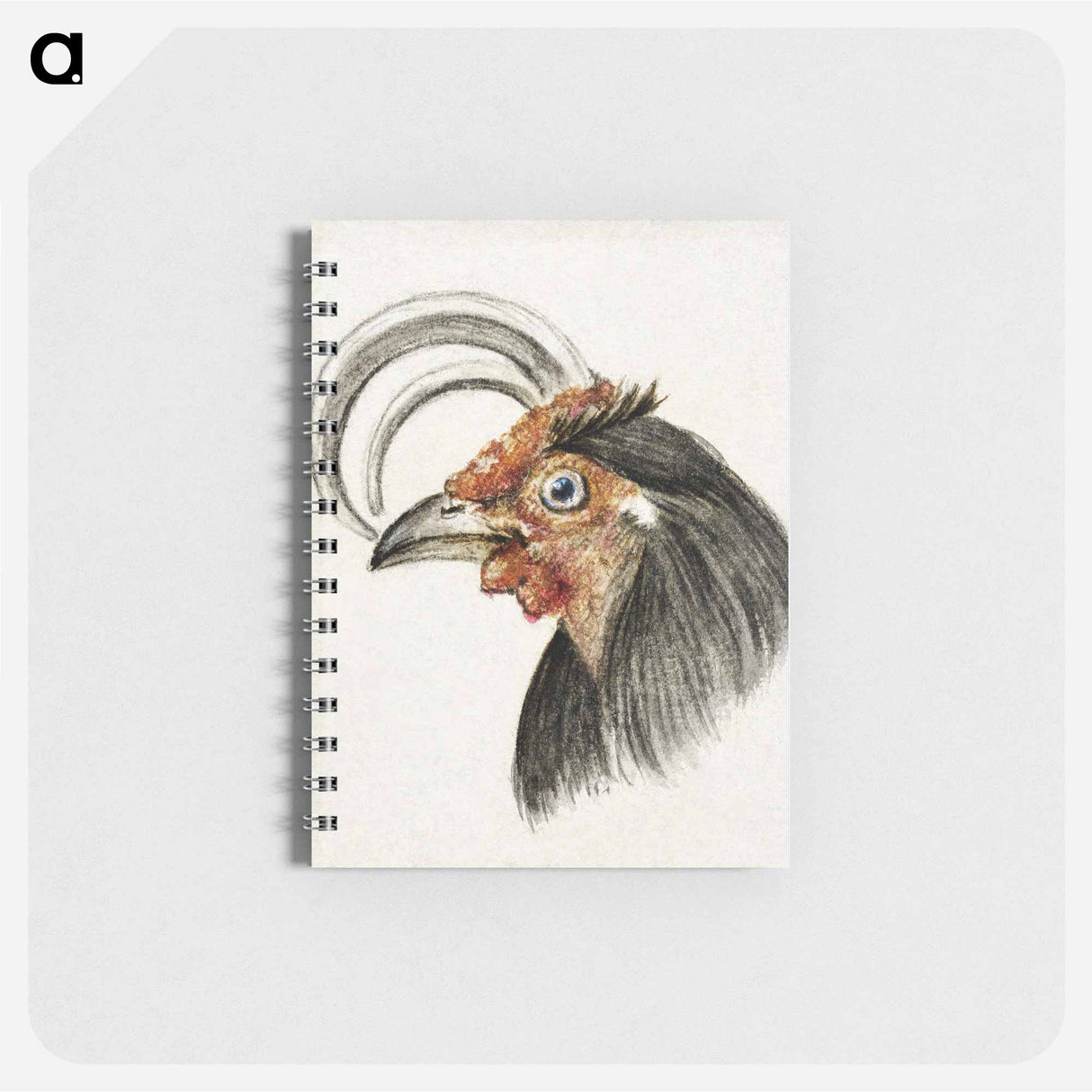 Head of a rooster - ジャン ベルナール Memo.