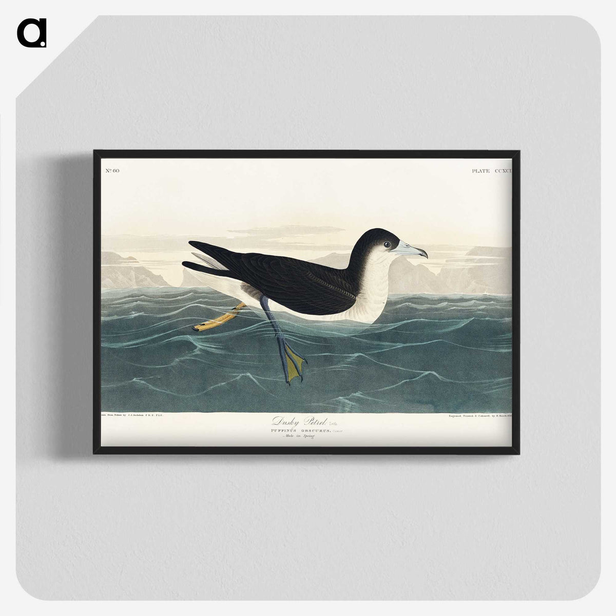 1-89_John-James-Audubon_blk-crop