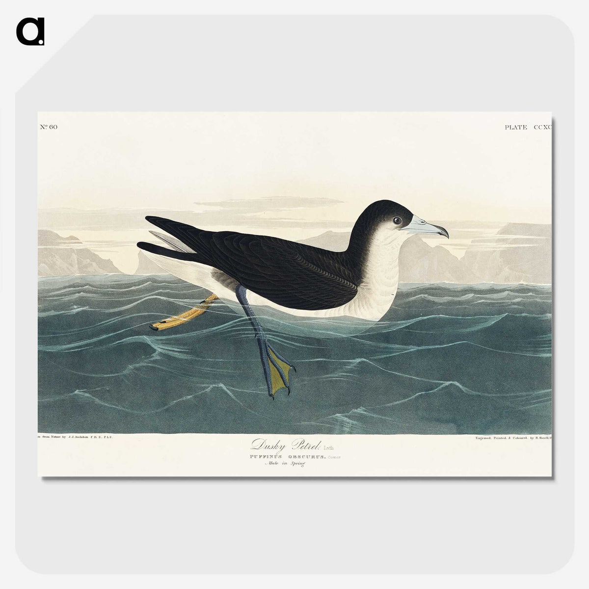 1-89_John-James-Audubon_picture-crop