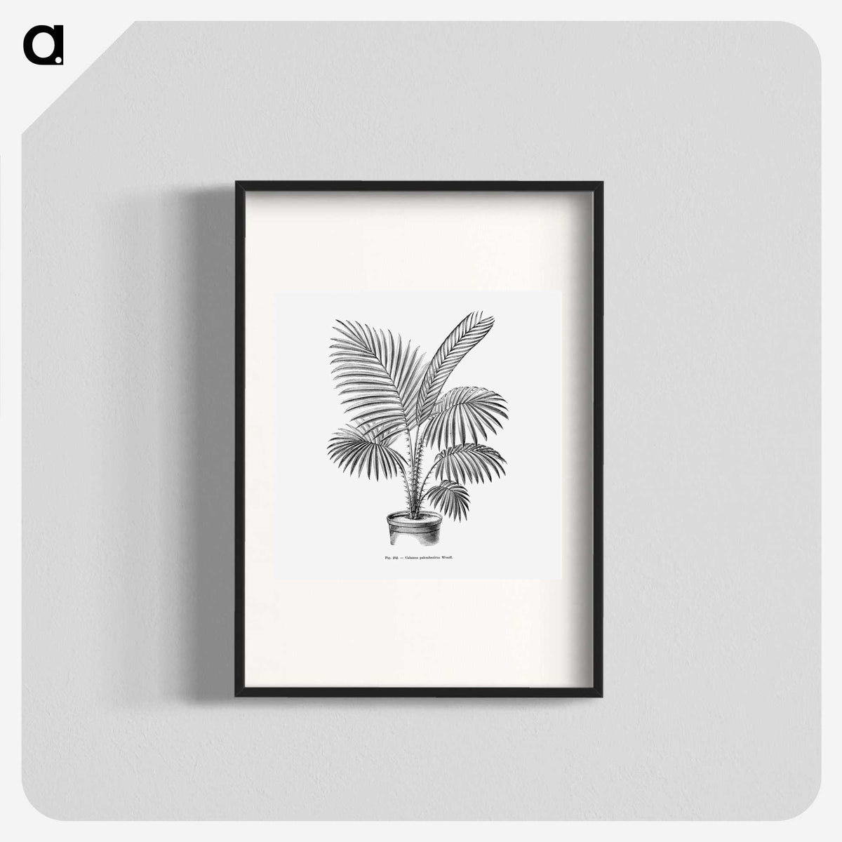 1-89_Les-Palmiers-Histoire-Iconographique_blk